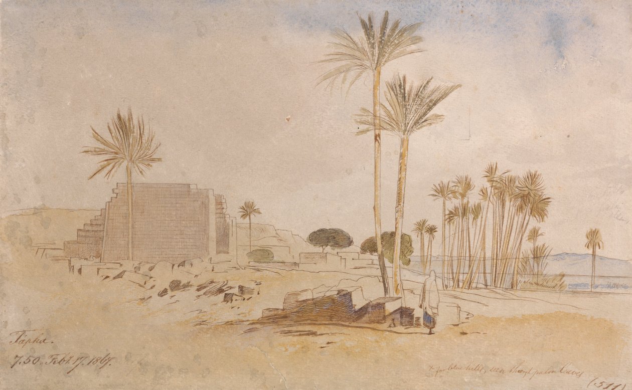 Tapha, 7 h 50, 17 février 1867 - Edward Lear