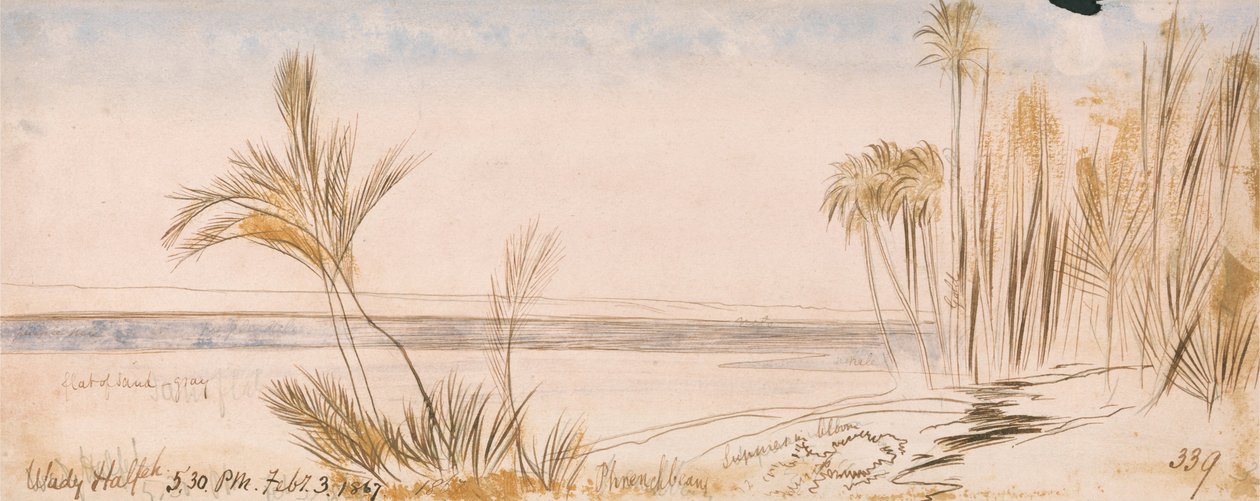 Inconvénients de Halfeh - Edward Lear