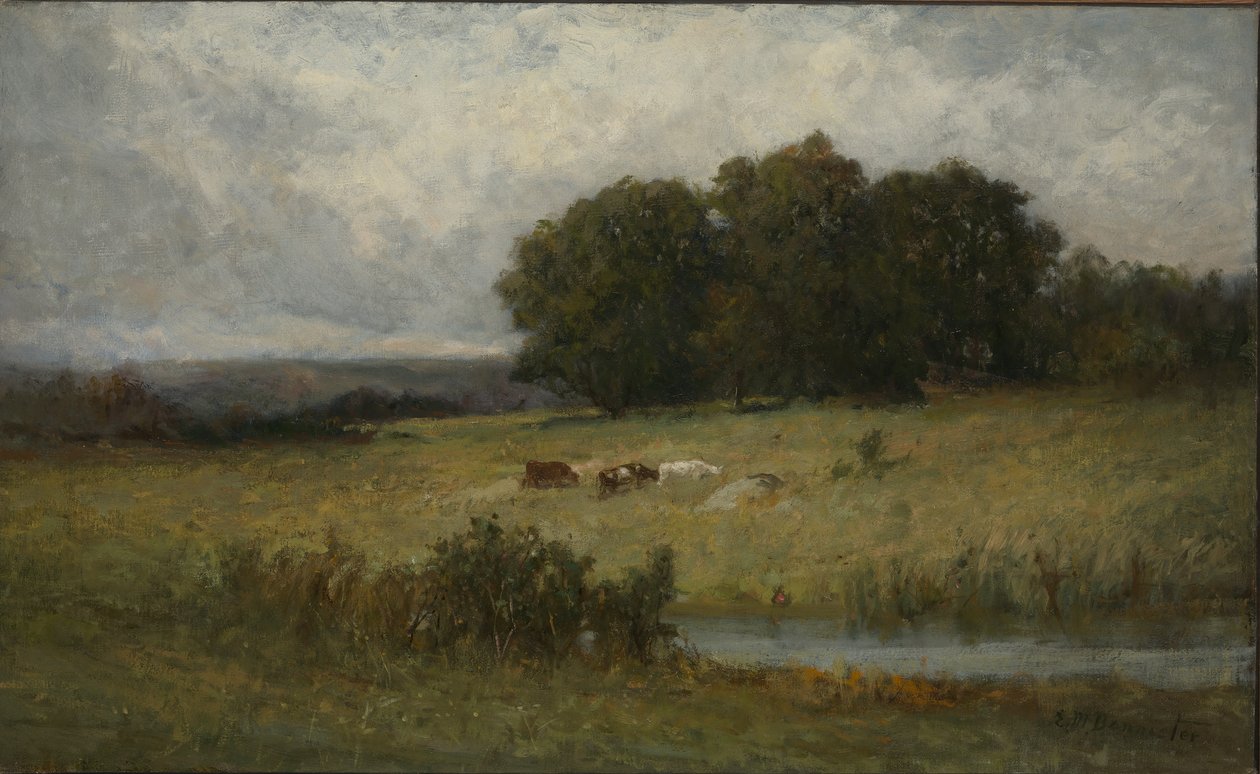 Scène lumineuse de bétail près d