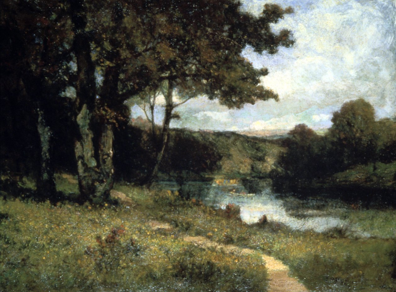 Arbres près d