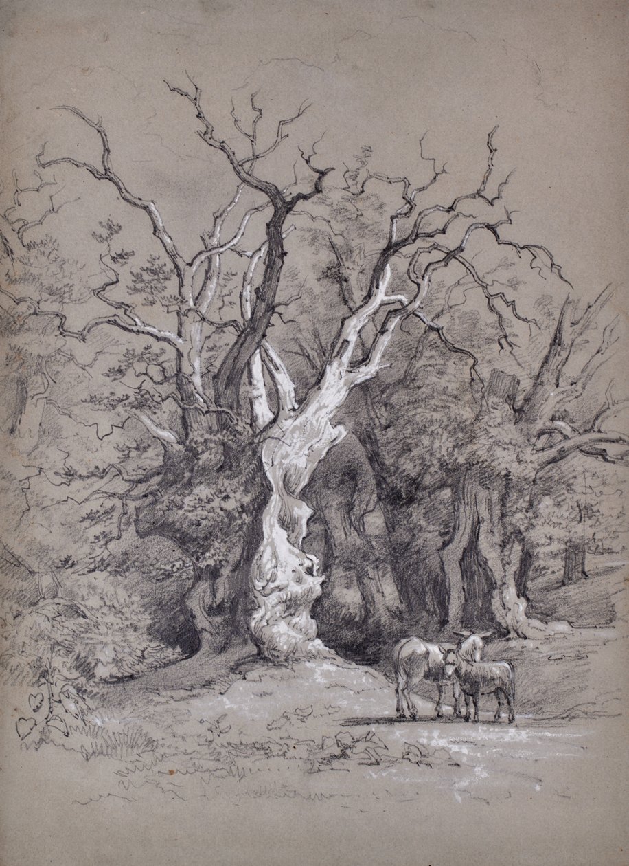 Paysage avec arbre - Edward Pretty