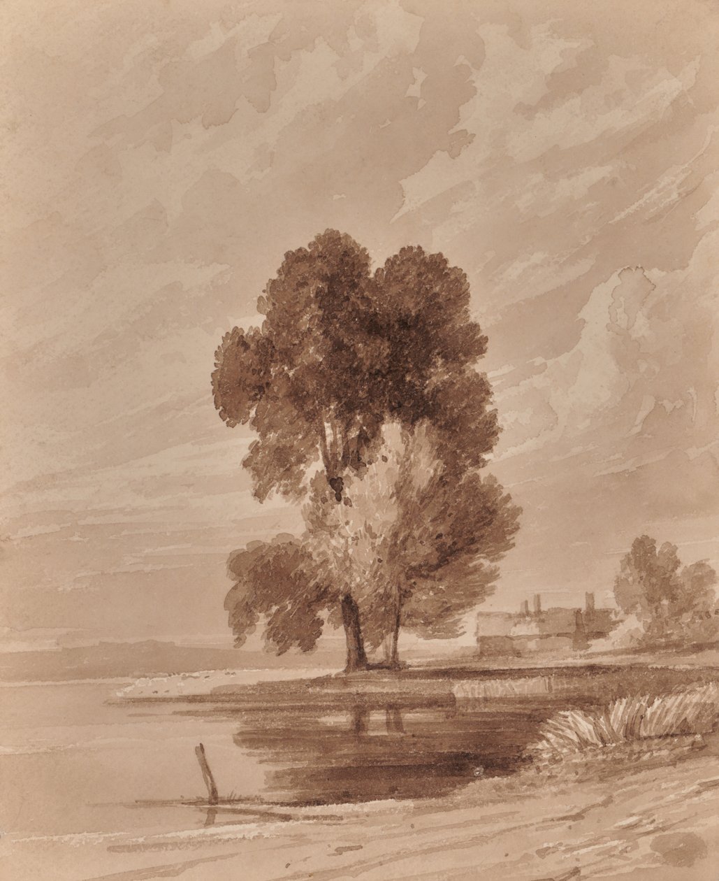 Paysage avec arbres - Edward Pretty