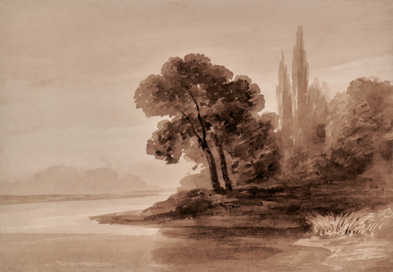 Paysage avec arbres - Edward Pretty
