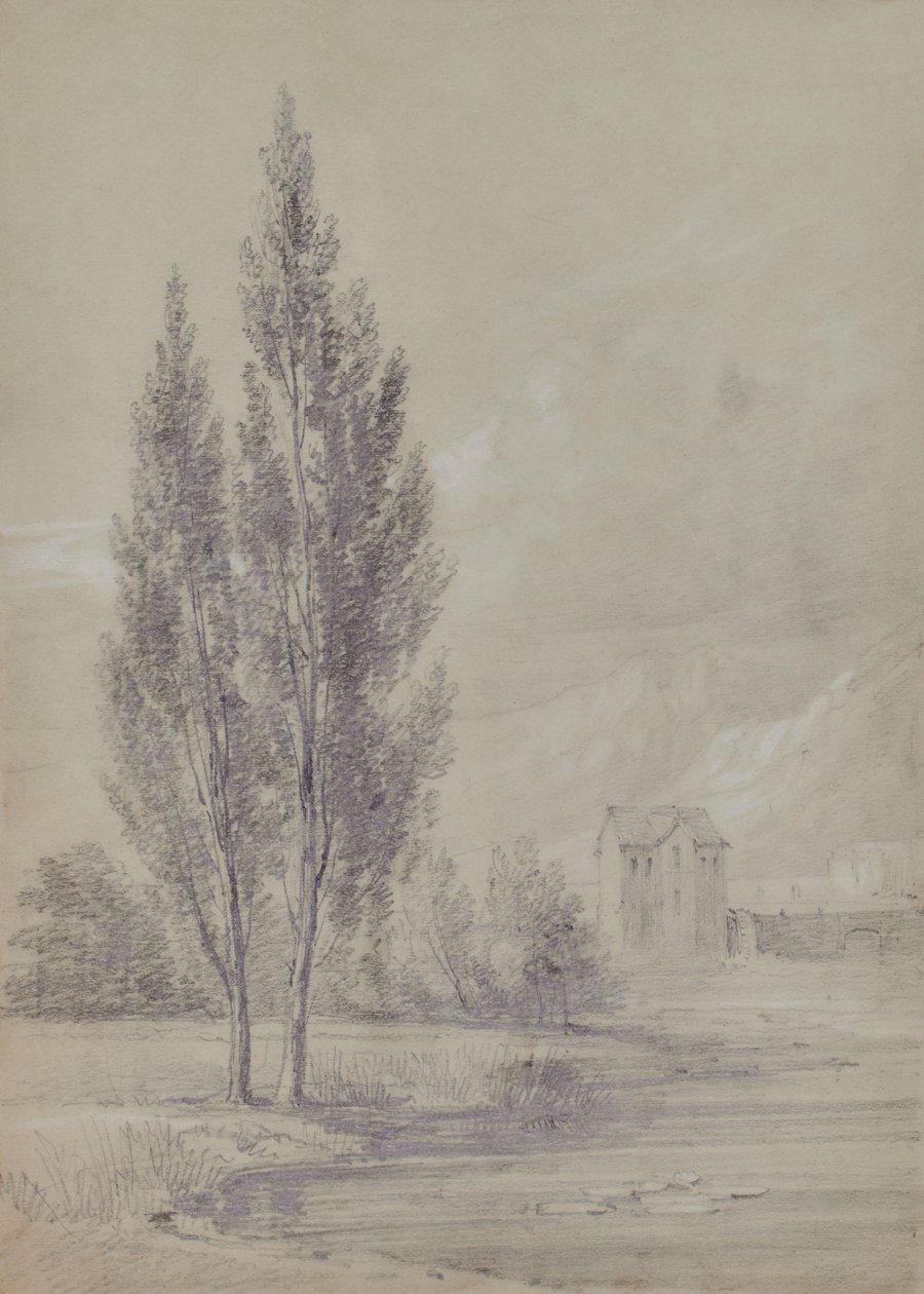 Paysage avec arbres près du lac - Edward Pretty