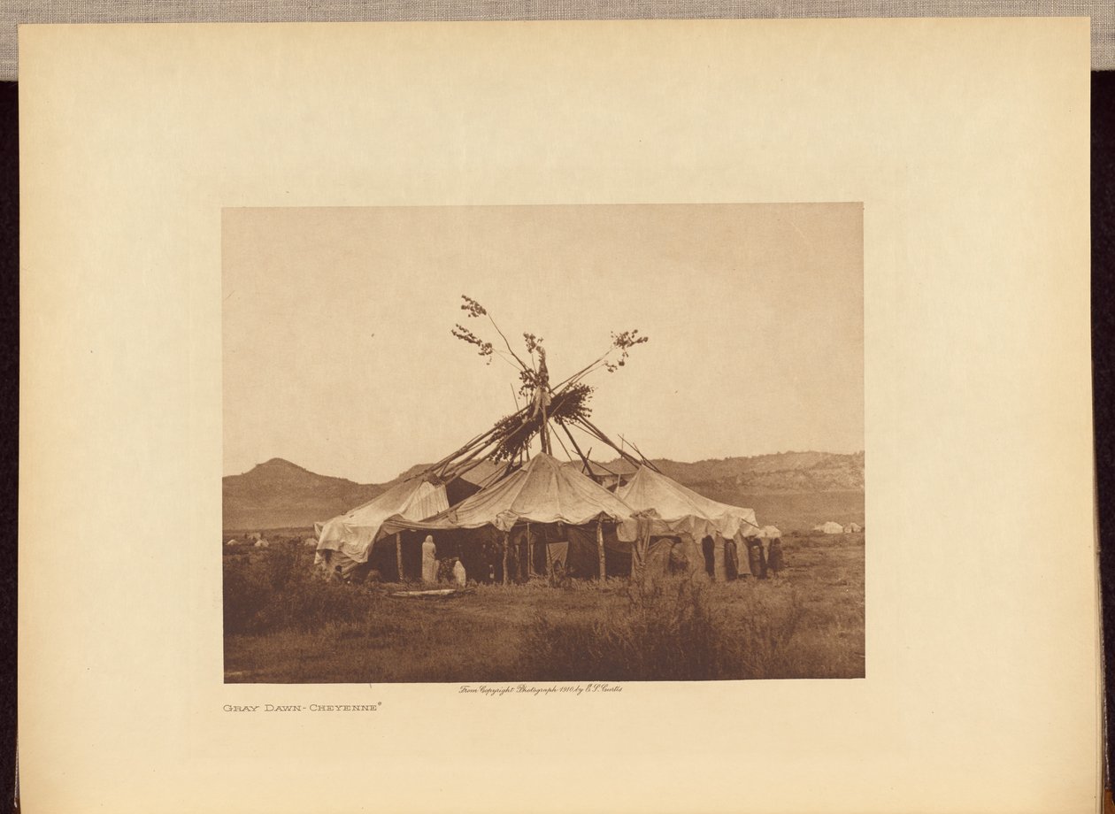 Gray Dawn - Cheyenne - Edward S. Curtis