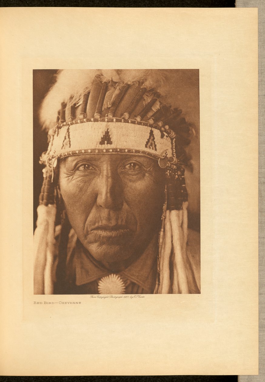 Oiseau rouge - Cheyenne - Edward S. Curtis