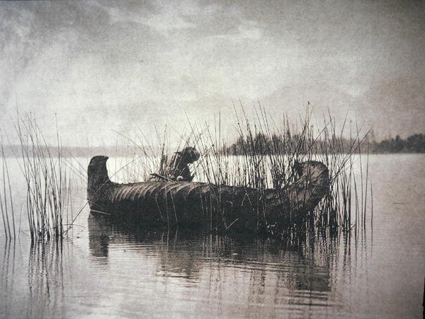 Le ramasseur de joncs, Montana - Edward Sheriff Curtis
