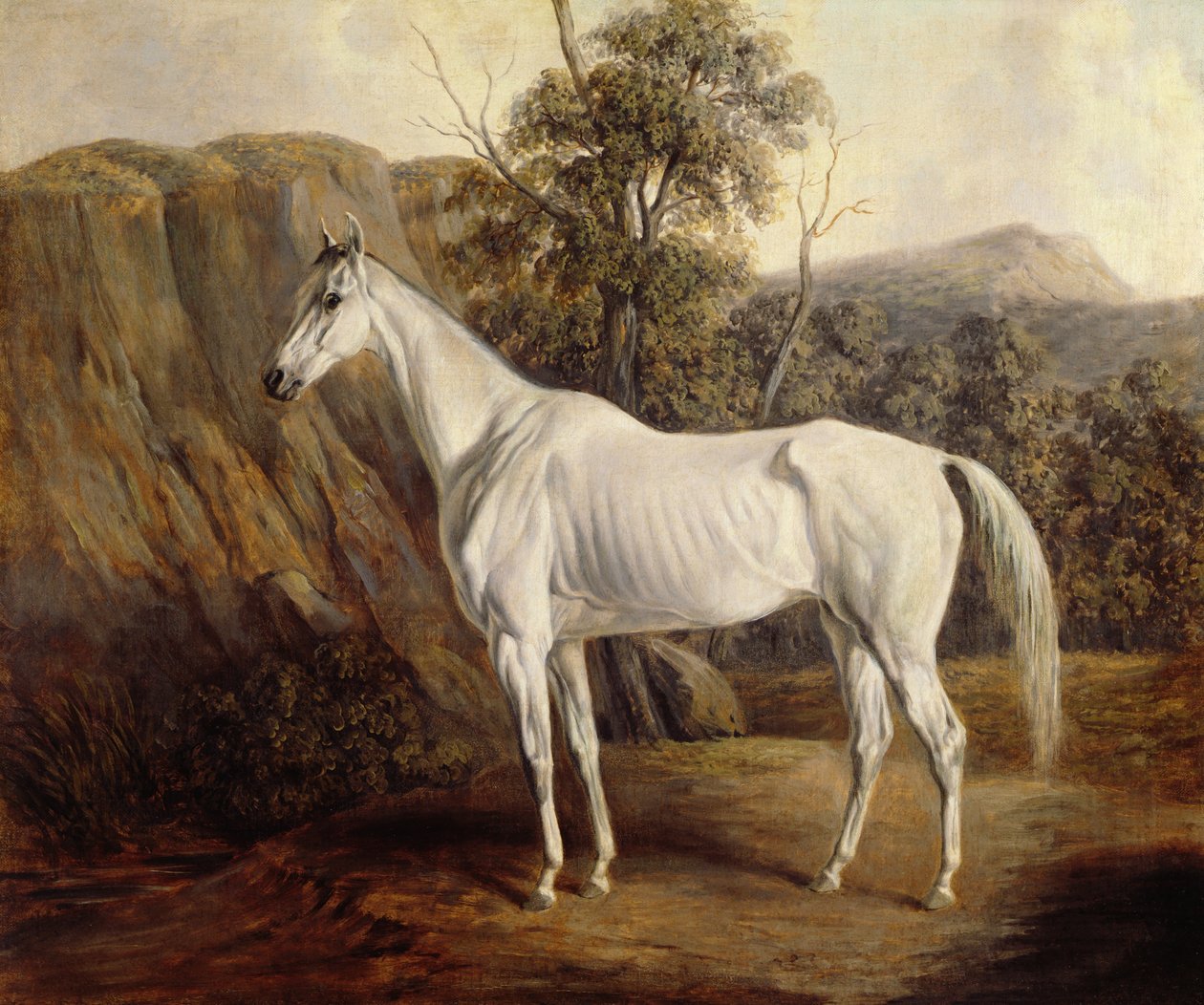 Bolivie - Edward Troye