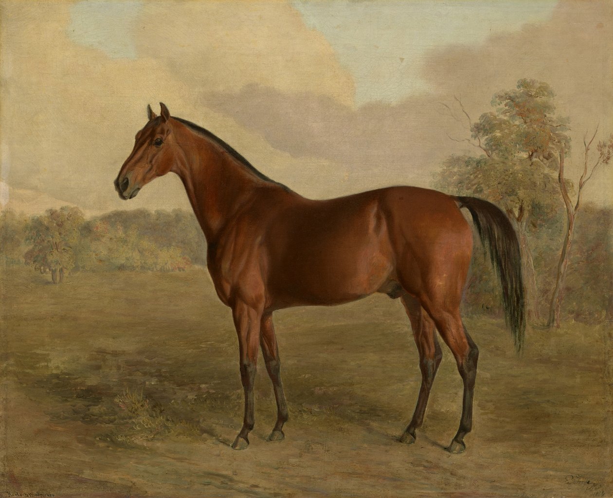 Pic du Kentucky - Edward Troye