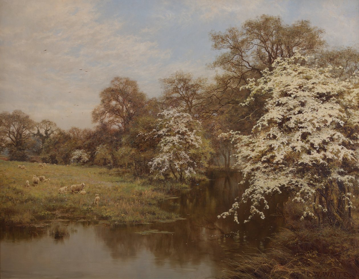 Fleurs d