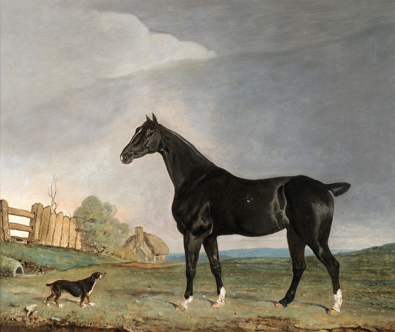 Un cheval bai foncé et un terrier dans un paysage - Edwin W. Cooper