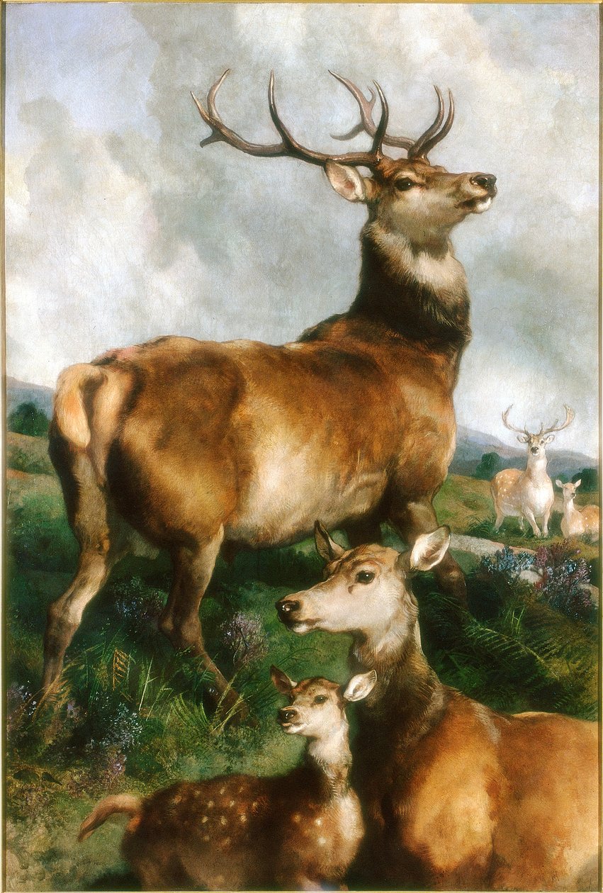 Cerfs du parc de Chillingham, Northumberland, vers 1867 - Edwin Landseer