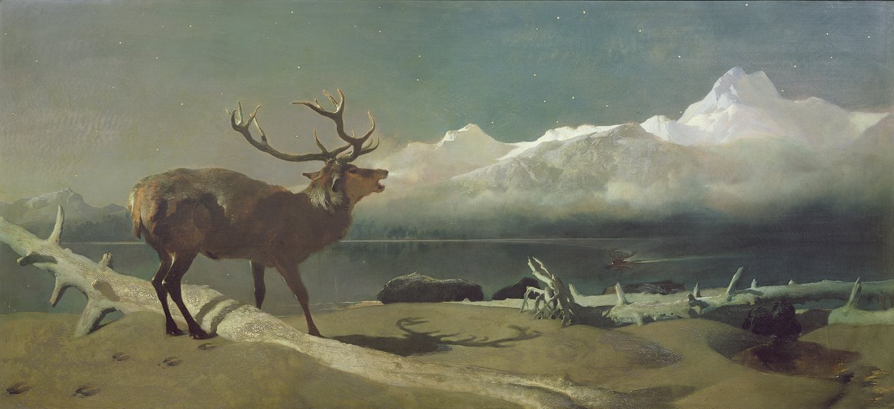 Le défi - Edwin Landseer