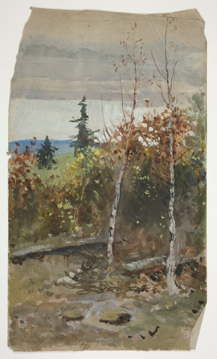 Paysage d