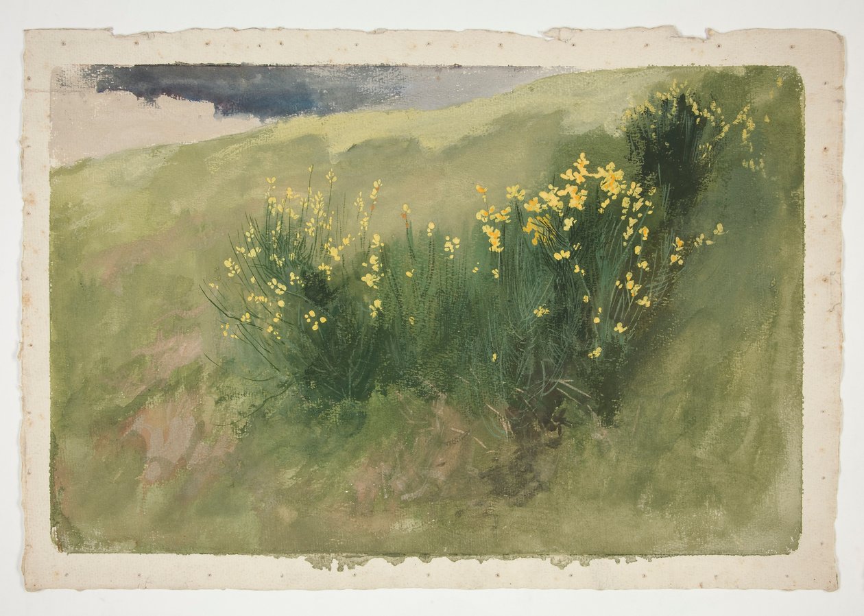 Paysage avec des fleurs sauvages - Edwin Austin Abbey