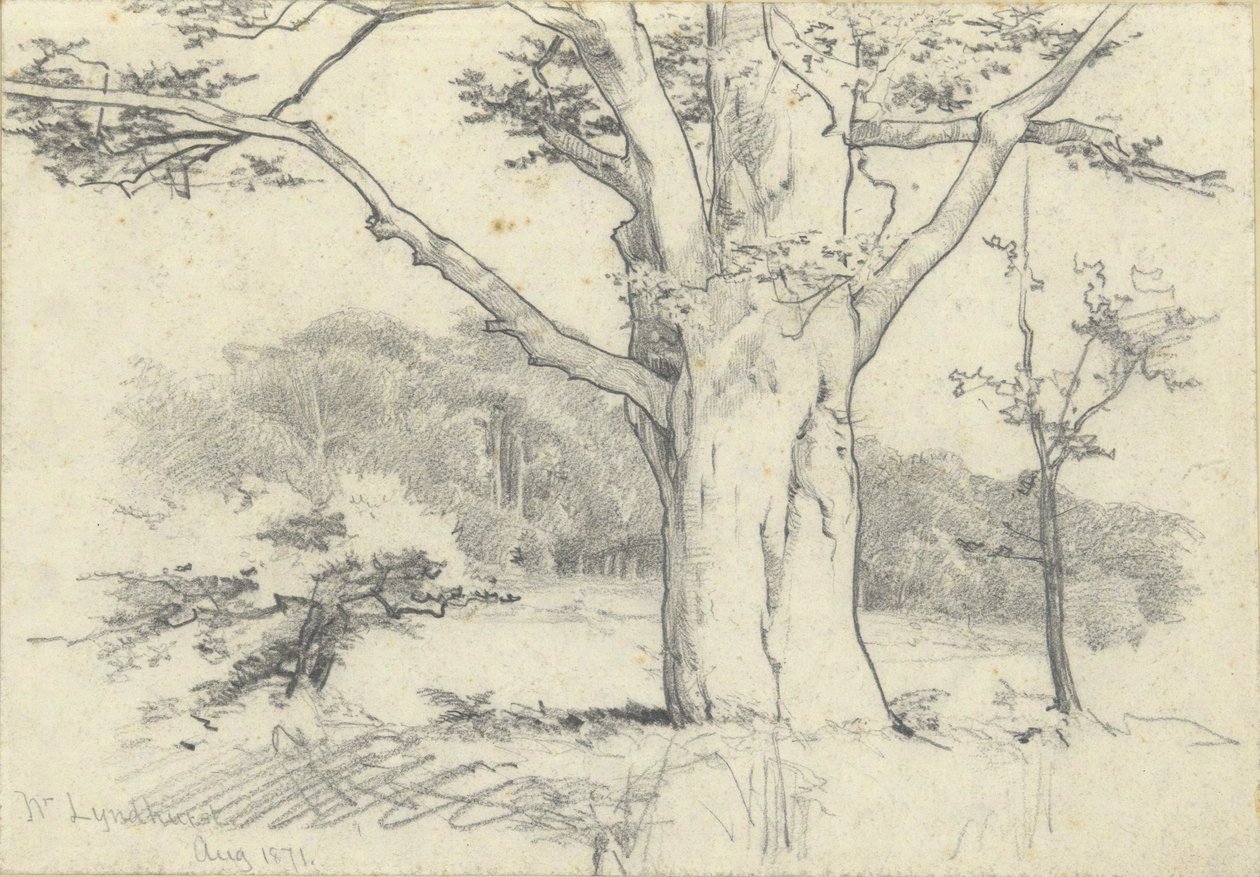 Près de Lyndhurst, août 1871 - Edwin Austin Abbey