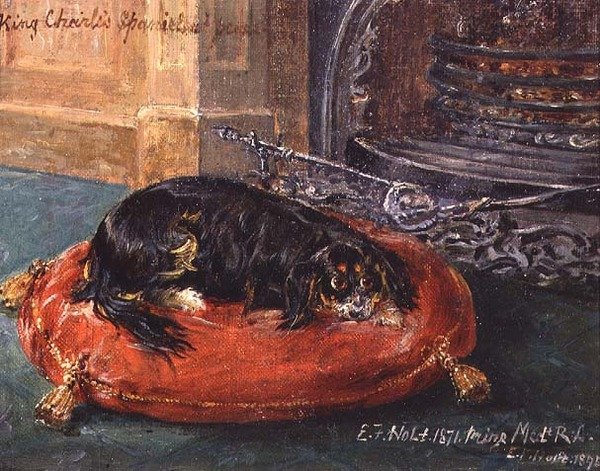 Épagneul King Charles au repos - Edwin Frederick Holt