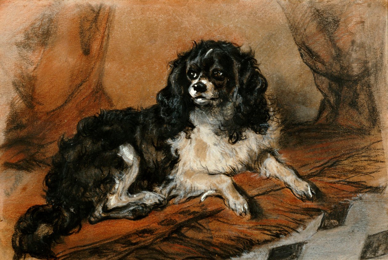 Un épagneul King Charles - Edwin Landseer