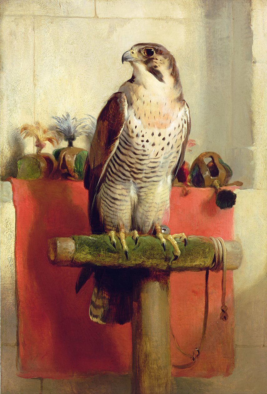Faucon, 1837 - Edwin Landseer