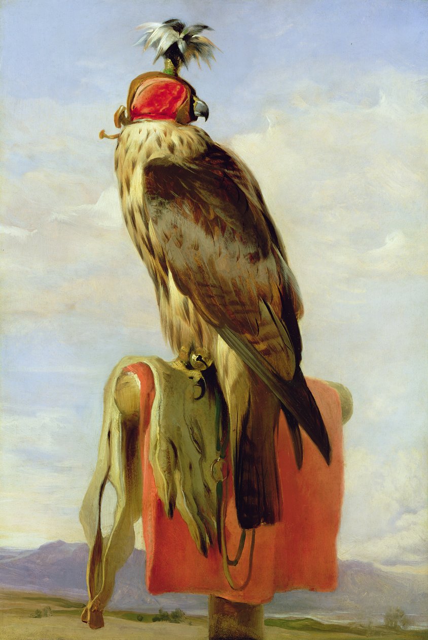 Faucon encapuchonné - Edwin Landseer