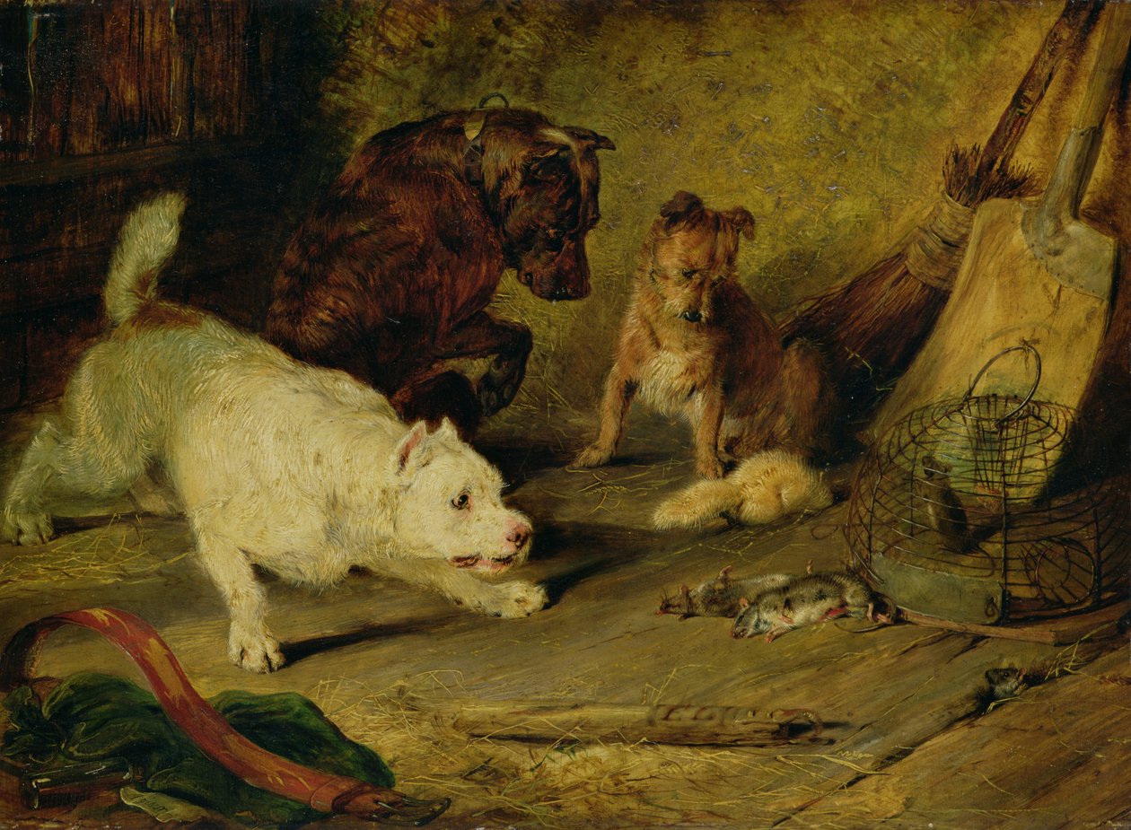 Dératiseurs - Edwin Landseer