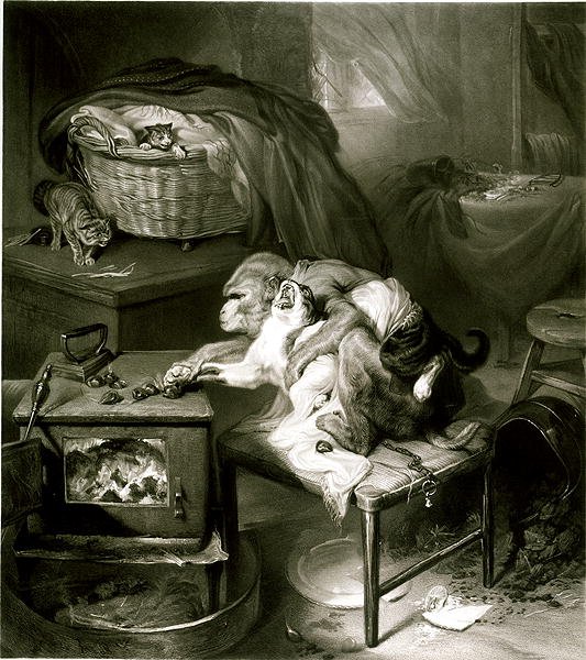 La Patte du Chat (gravure) - Edwin Landseer