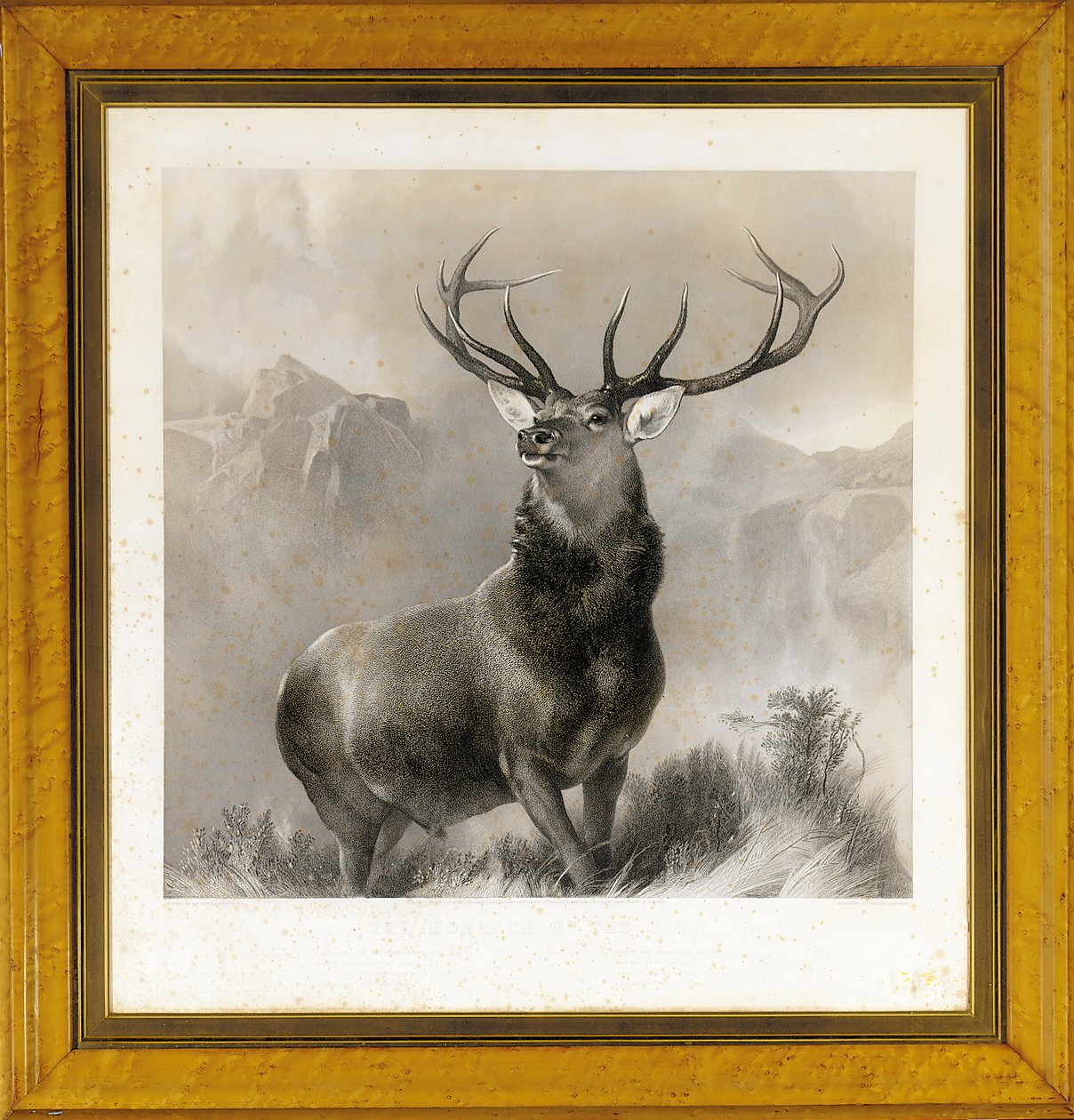 Le Monarque des Highlands, 1852 - Edwin Landseer