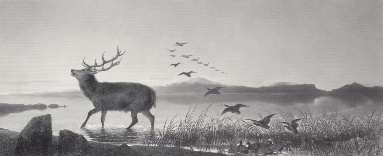 Le Sauvetage - Edwin Landseer