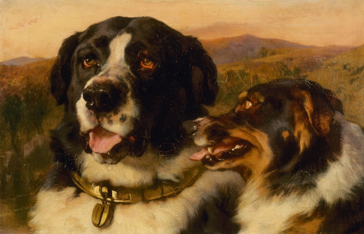 Les deux chiens - Edwin Landseer