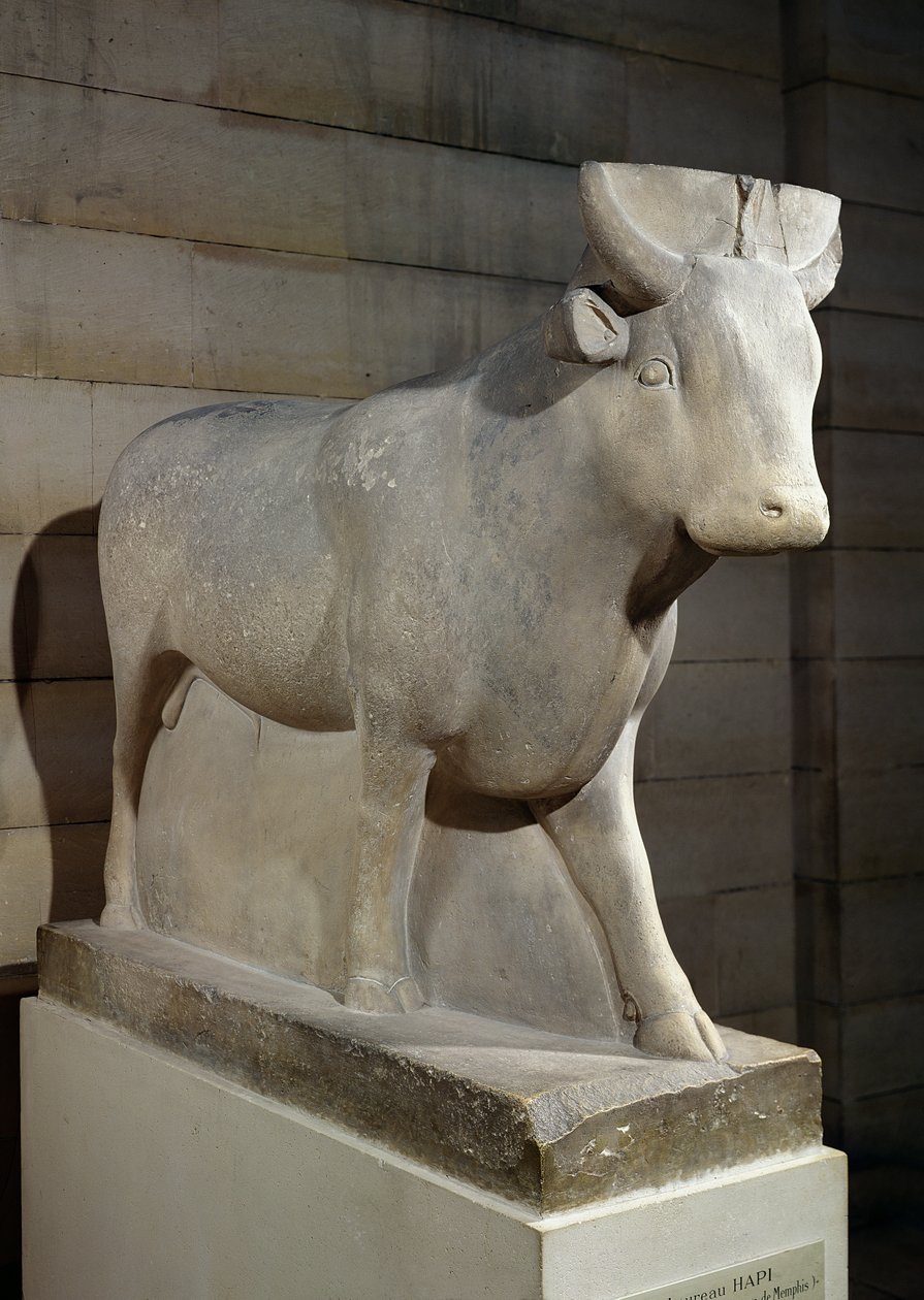 Le Taureau Apis, du Sérapéum, Memphis (calcaire) - Egyptian 30th Dynasty