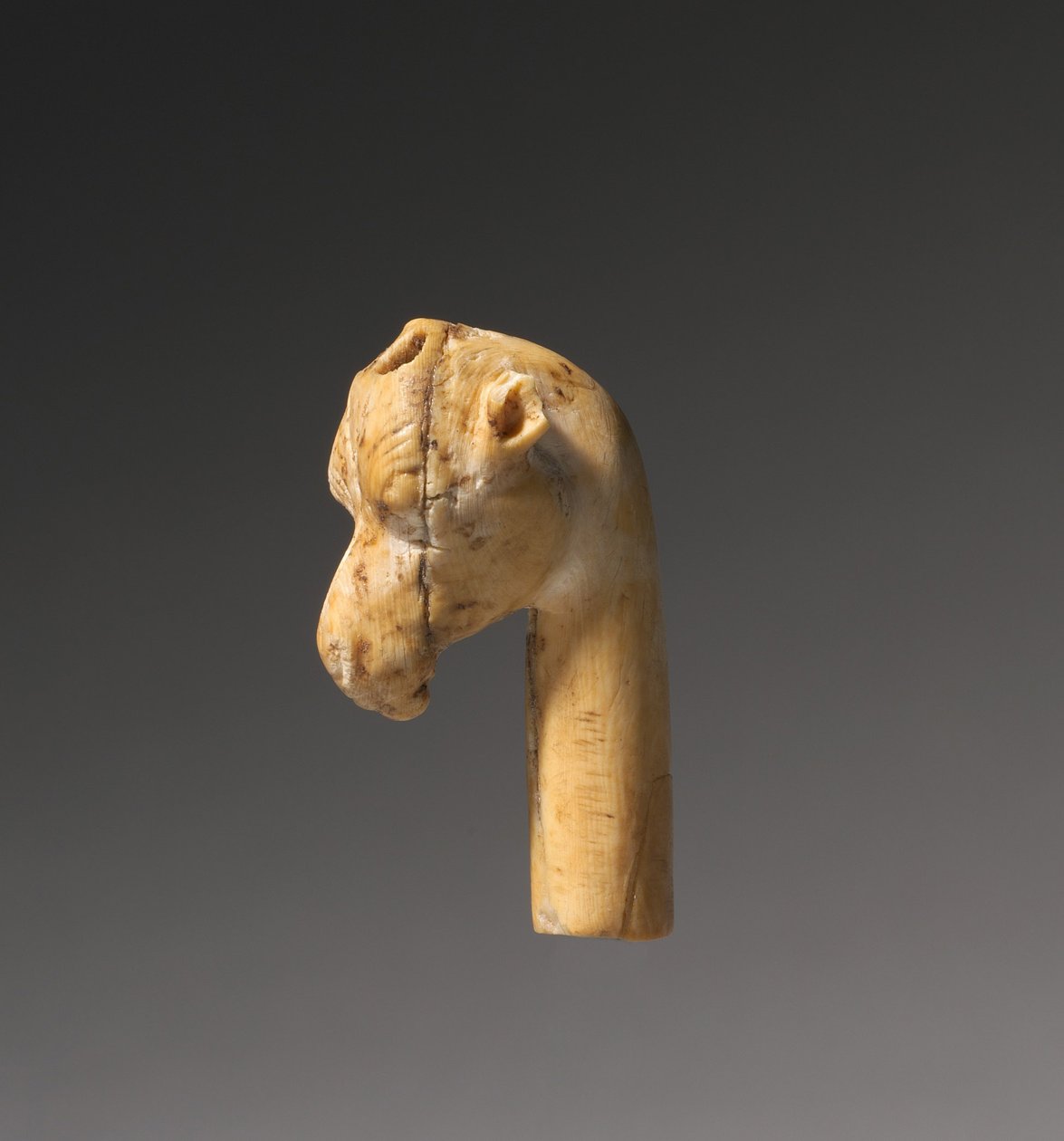 Tête de girafe, vers 1540-1296 av. J.-C. - Egyptian 18th Dynasty