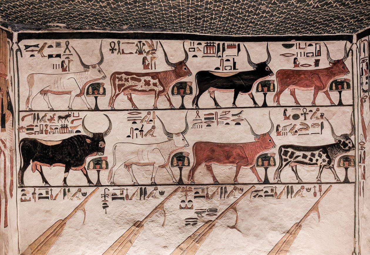 Tombe de Néfertari - Egyptian 19th Dynasty