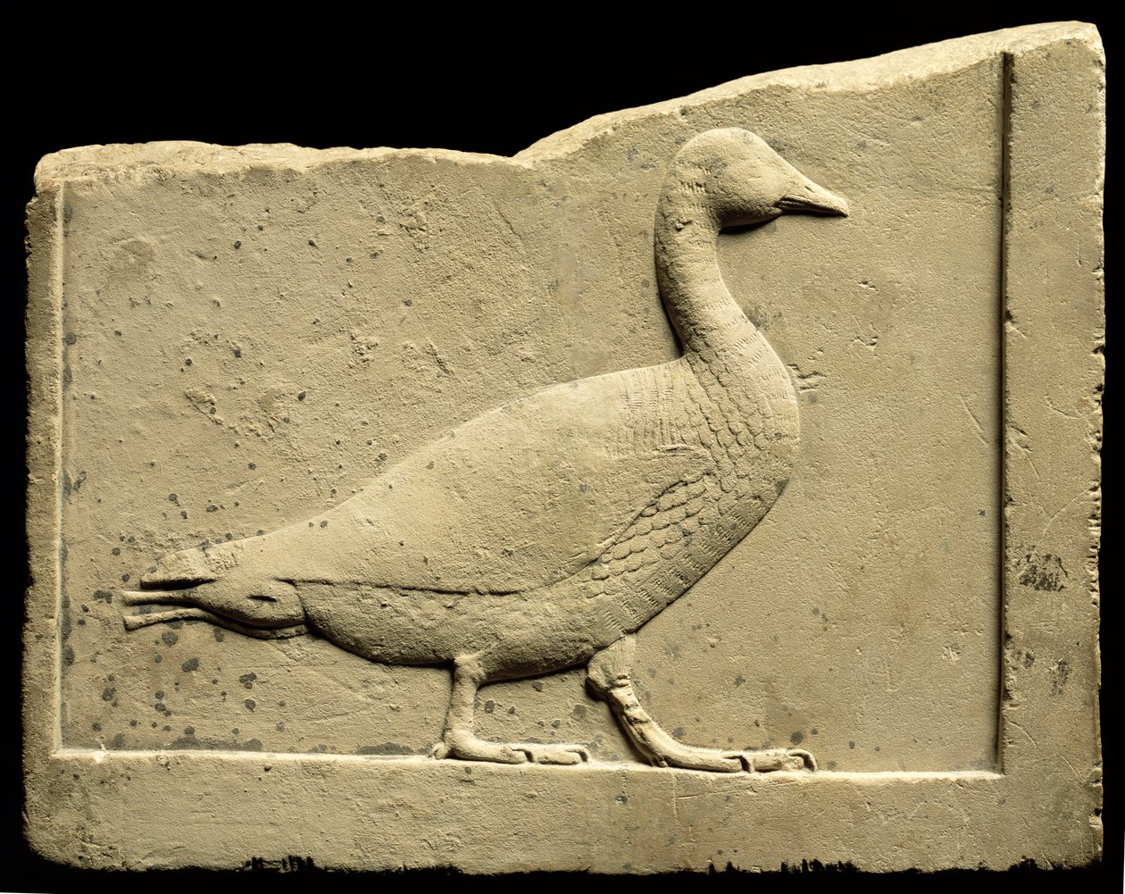 Relief représentant une oie (calcaire) - Egyptian Ptolemaic Period