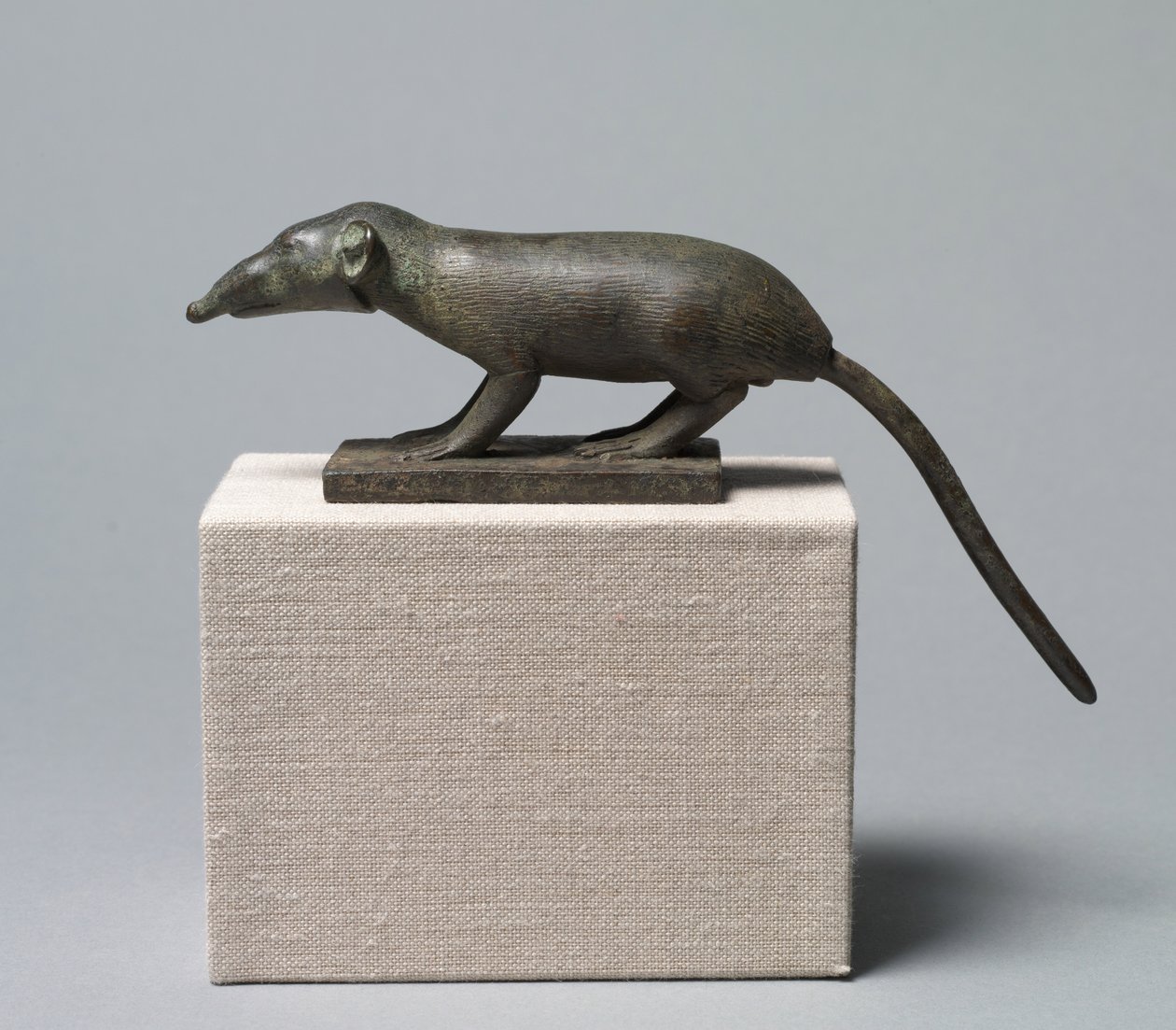Musaraigne, 305-30 av. J.-C. - Egyptian Ptolemaic Period