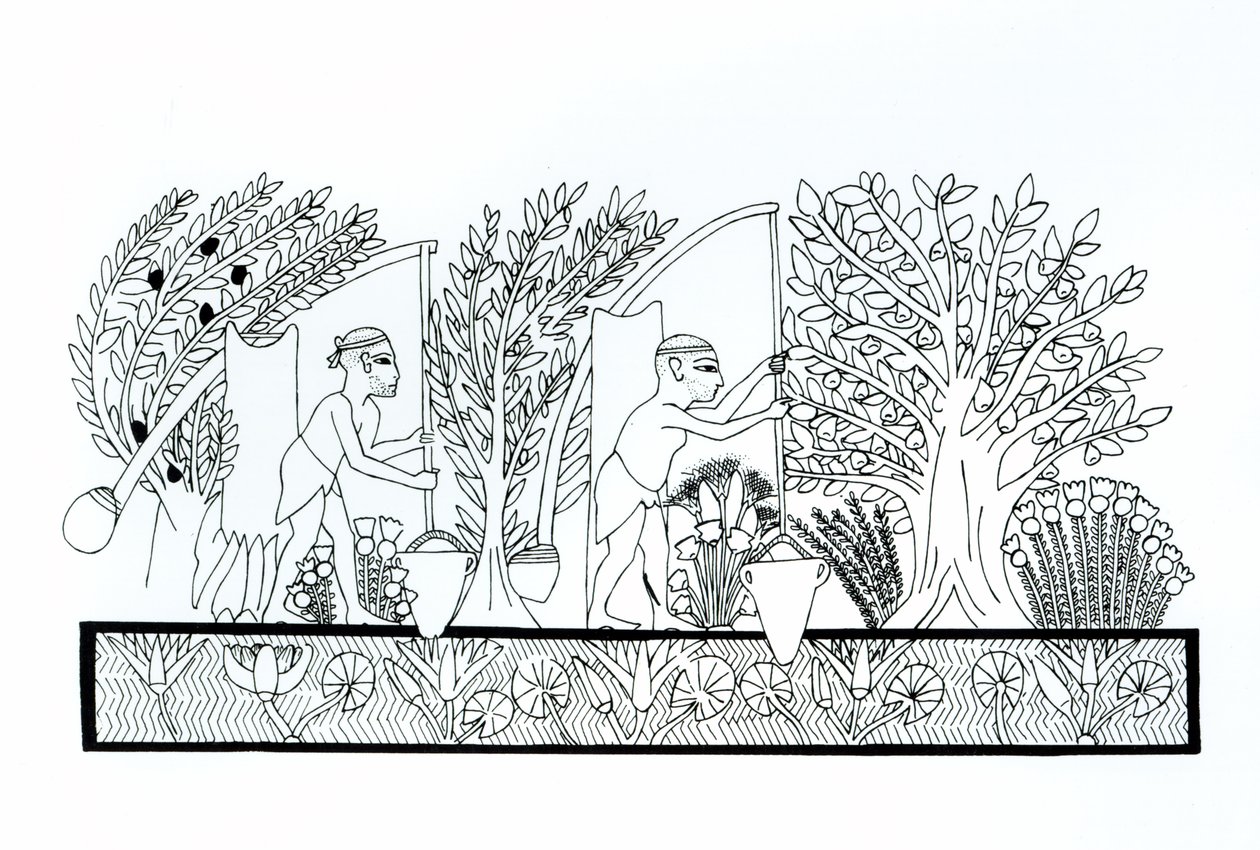 Un jardin égyptien ancien - Egyptian School