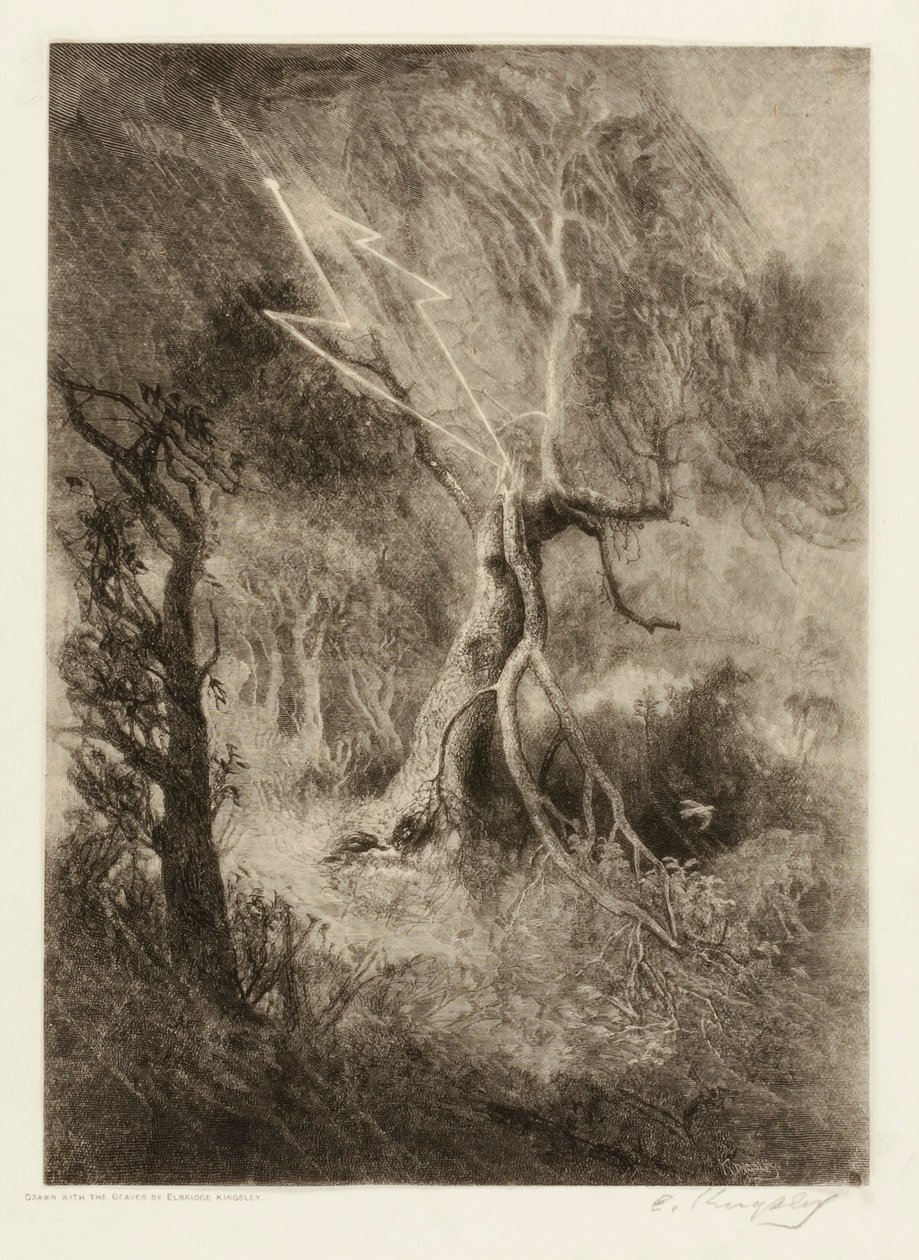 La tragédie d