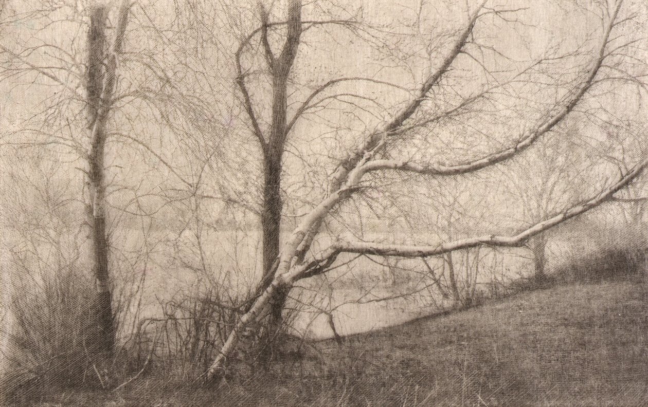 Sans titre - Elbridge Kingsley