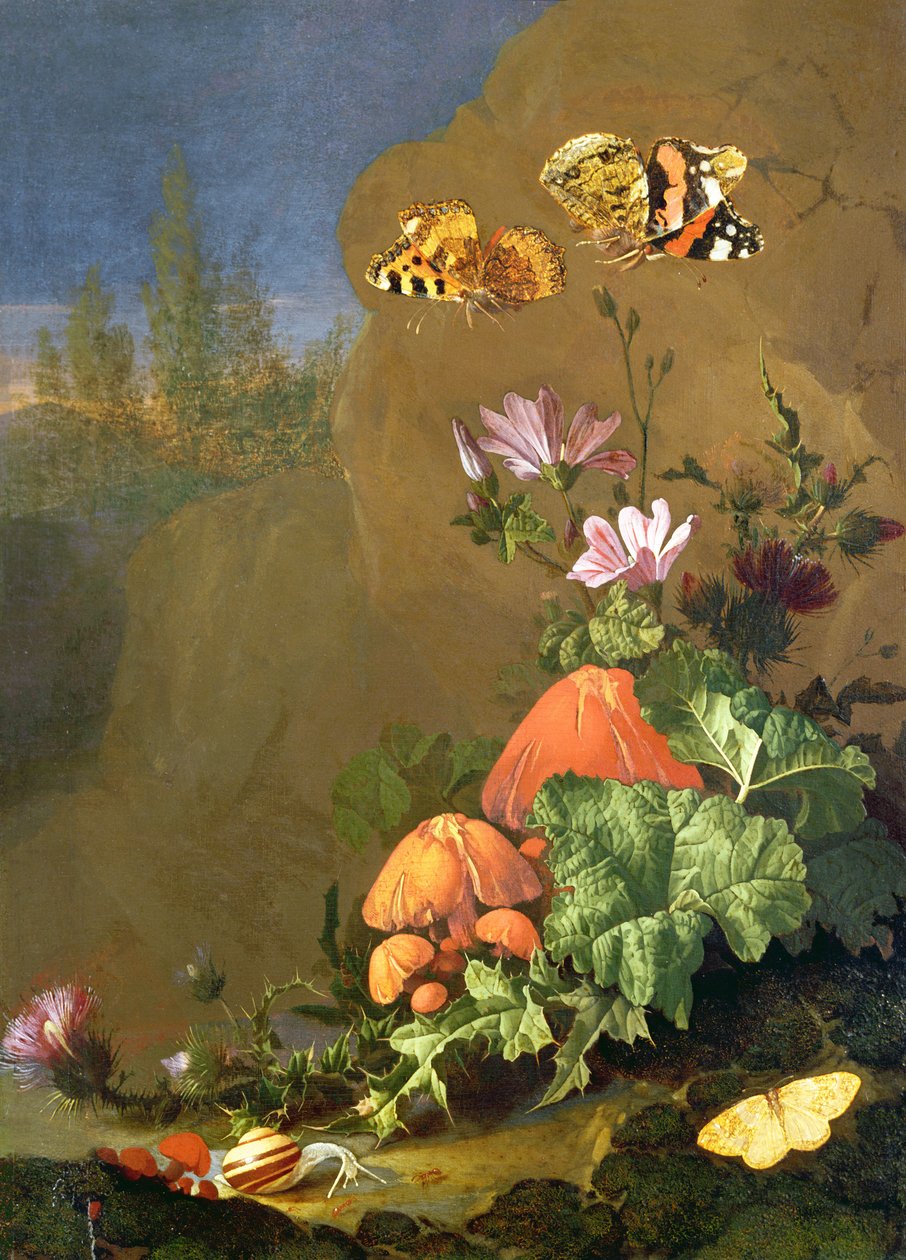 Nature morte de sol forestier avec fleurs, champignons et escargots - Elias van den Broeck