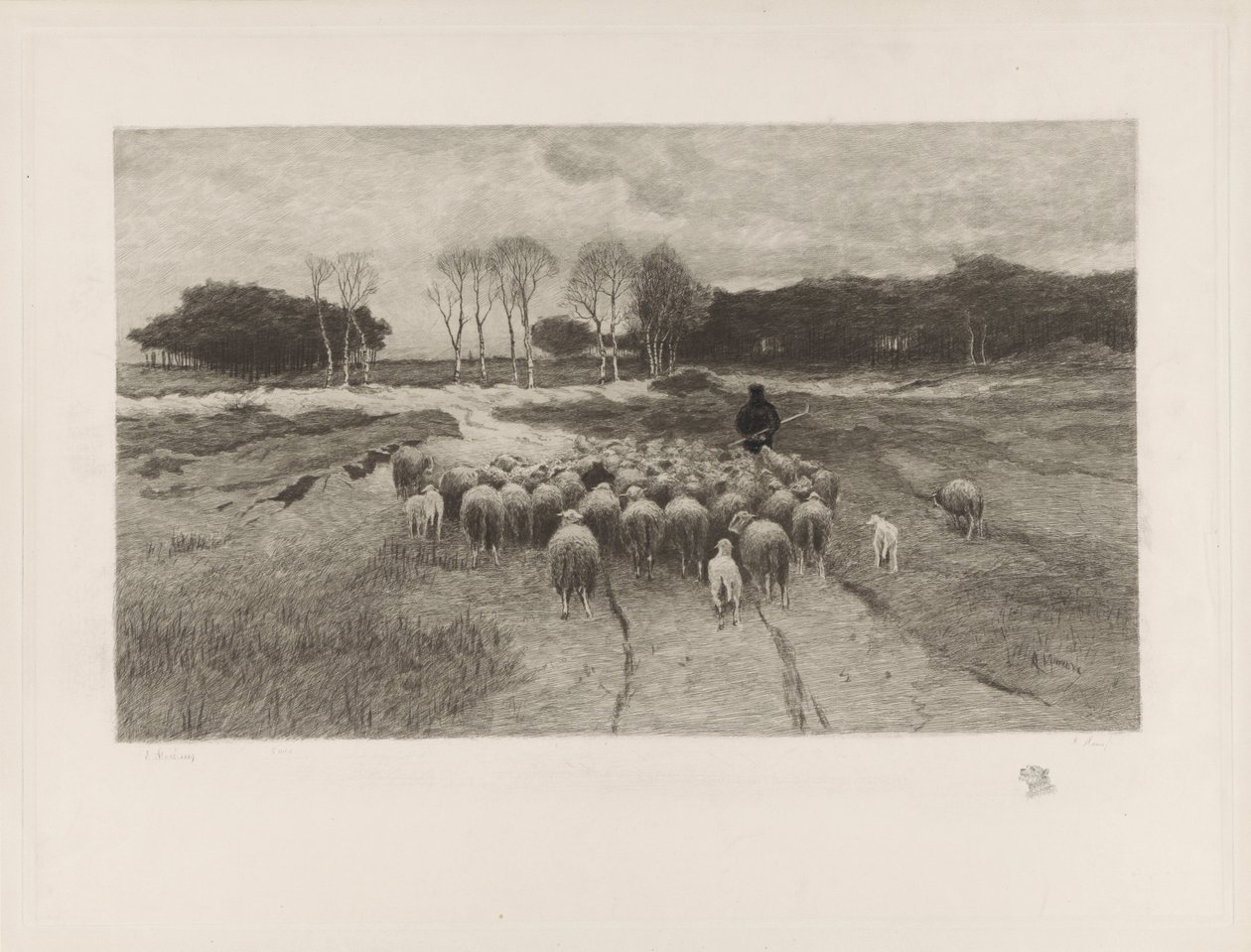 Berger - Elias Stark