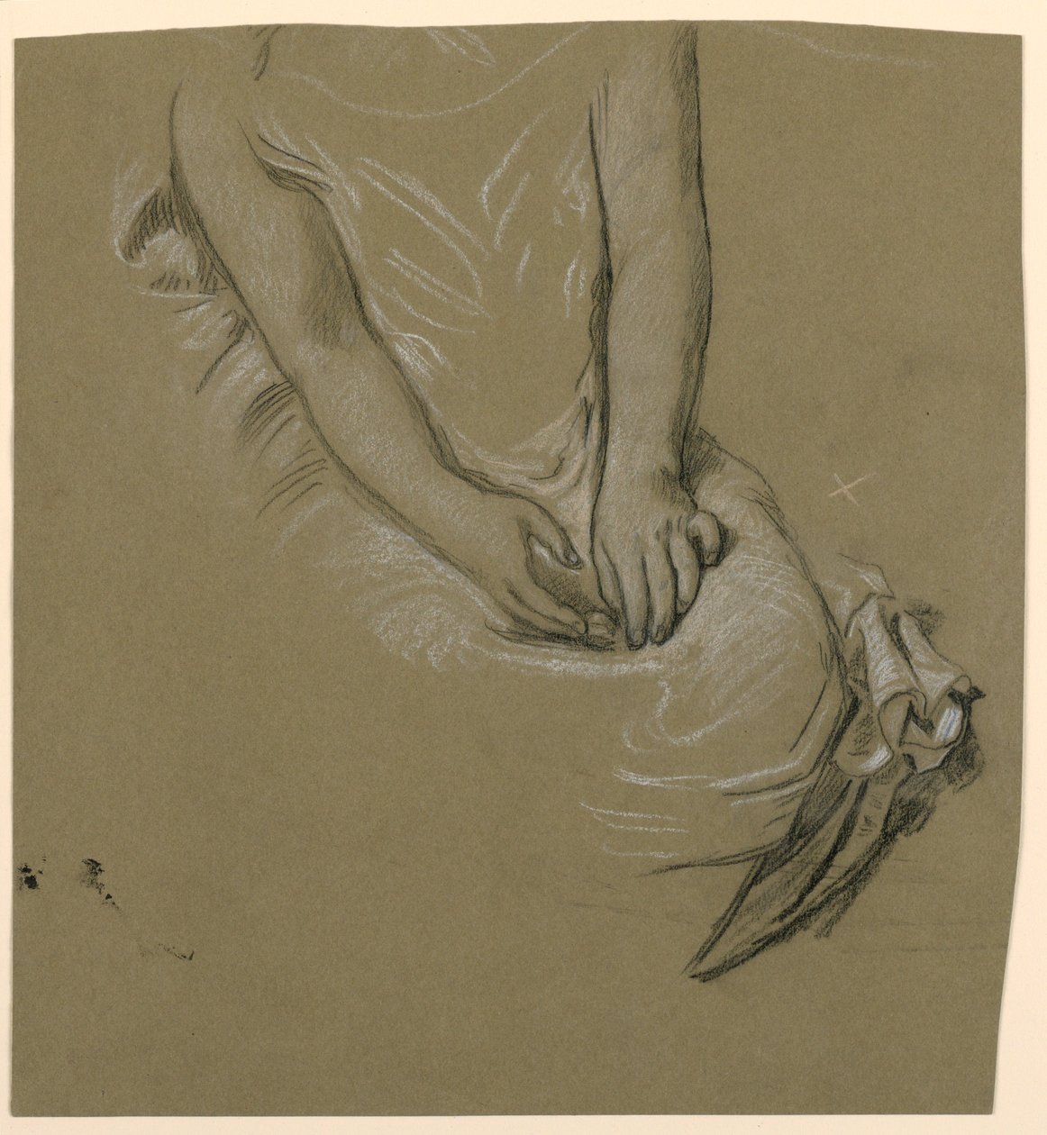 Dessin, étude du torse d