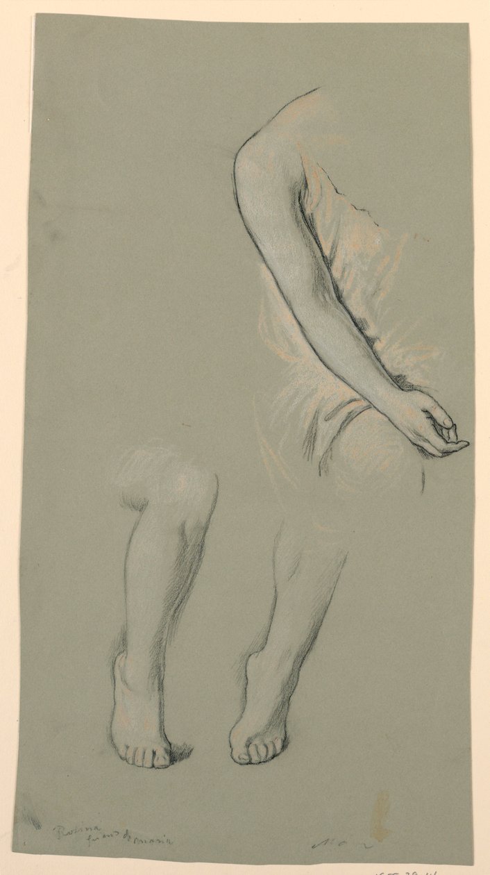 Dessin, détails d
