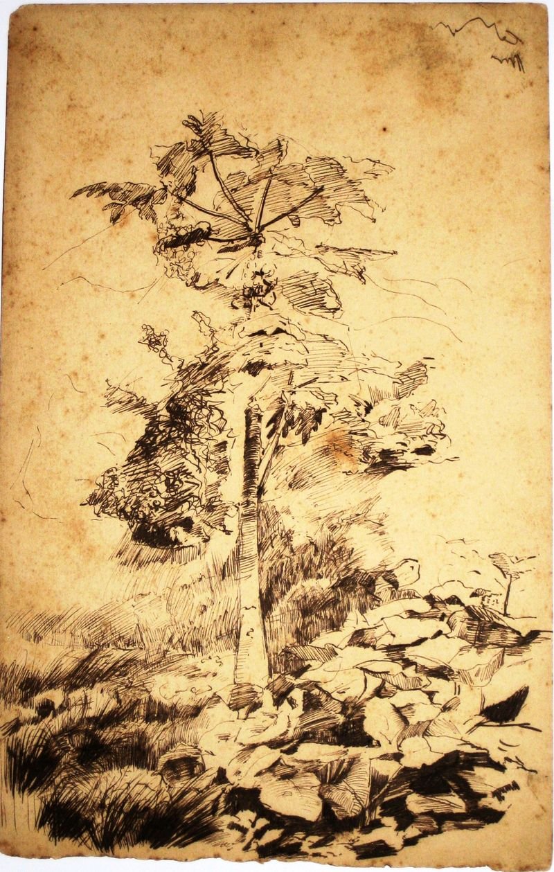 Papayer - Eliseu Visconti