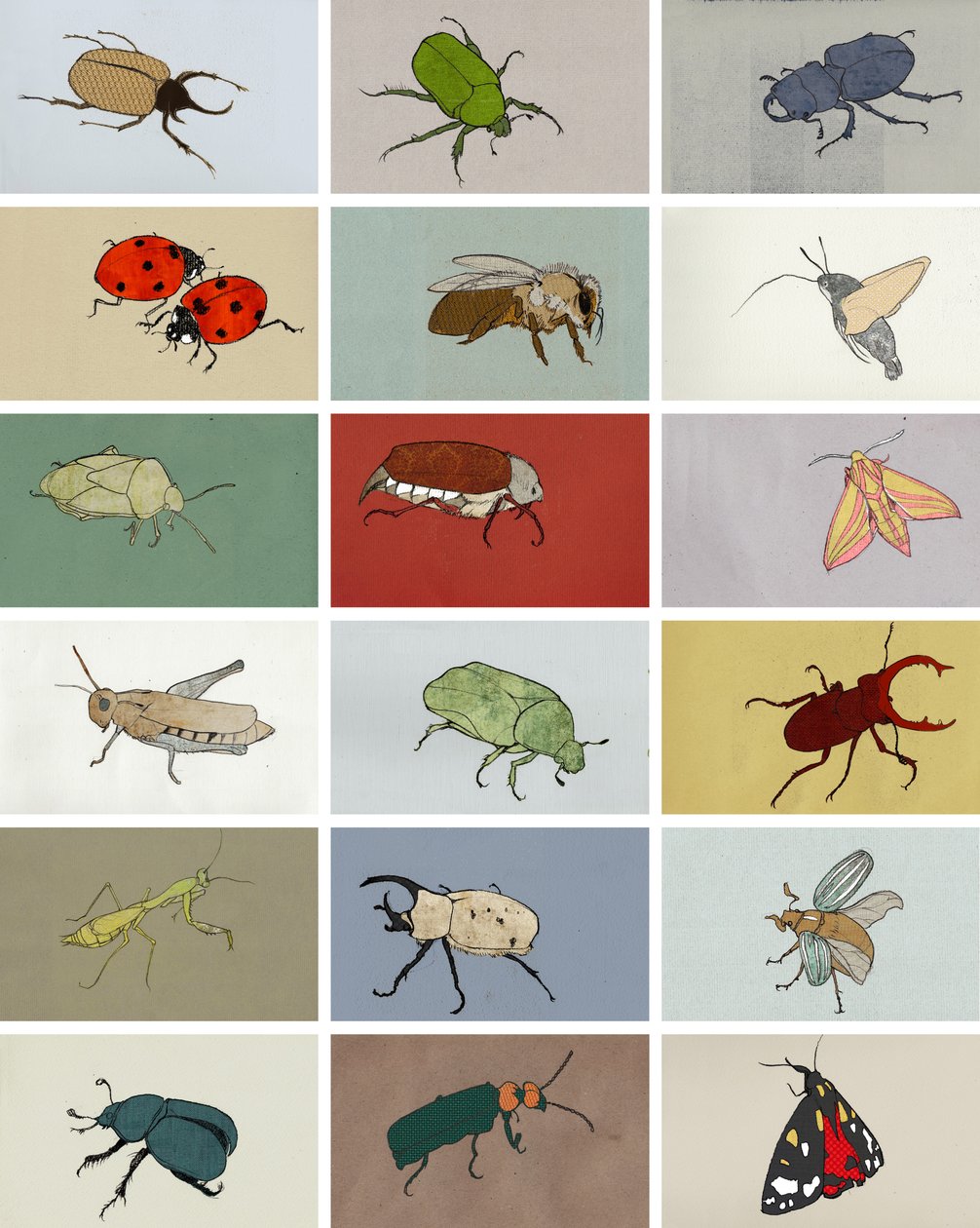 Insectes - Eliza Southwood