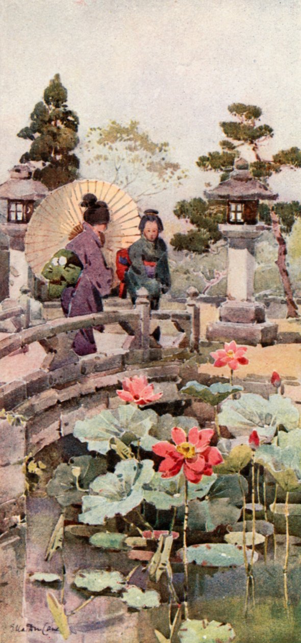 Fleurs de lotus (lithographie couleur) - Ella Du Cane