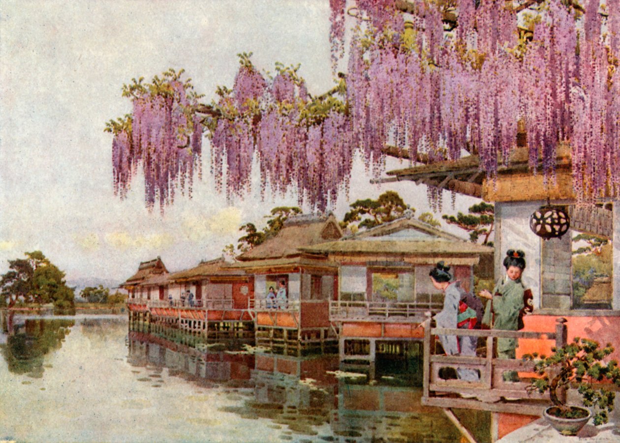 Wistaria, Nagaoka (lithographie couleur) - Ella Du Cane