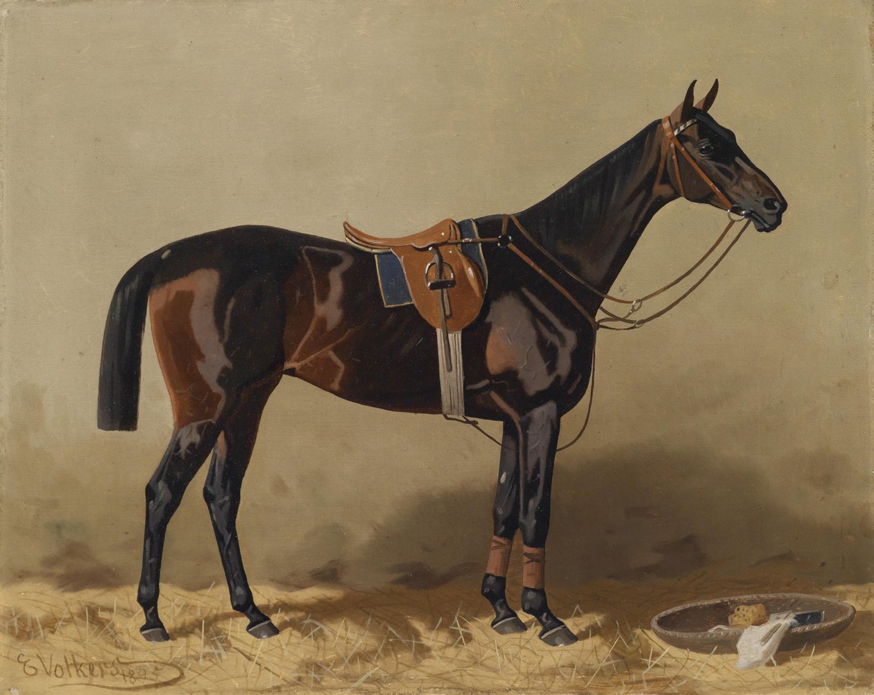 Cheval de sport sellé - Emil Volkers
