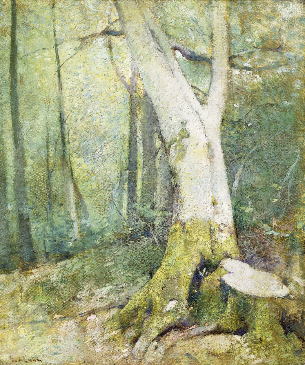 Forêt intérieure - Emil Carlsen