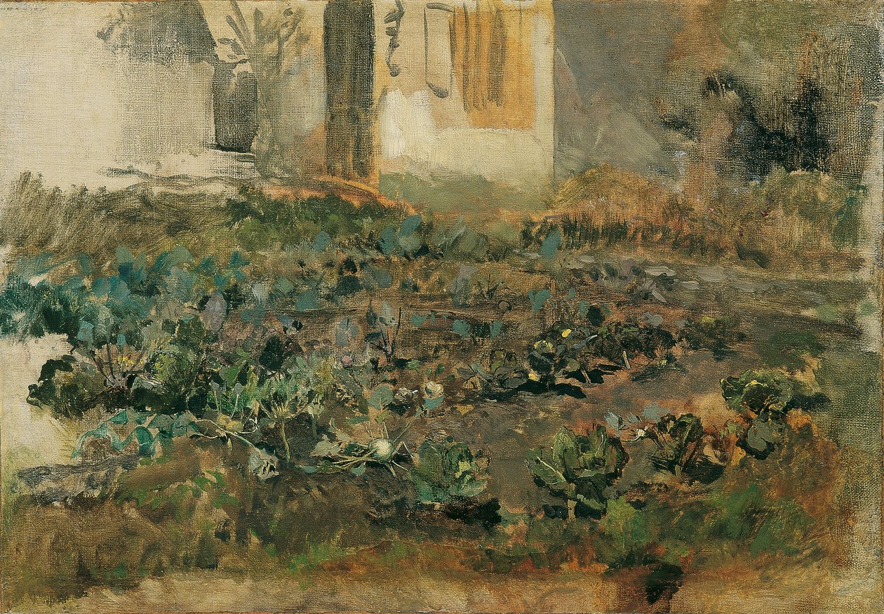Champ de navets - Emil Jakob Schindler