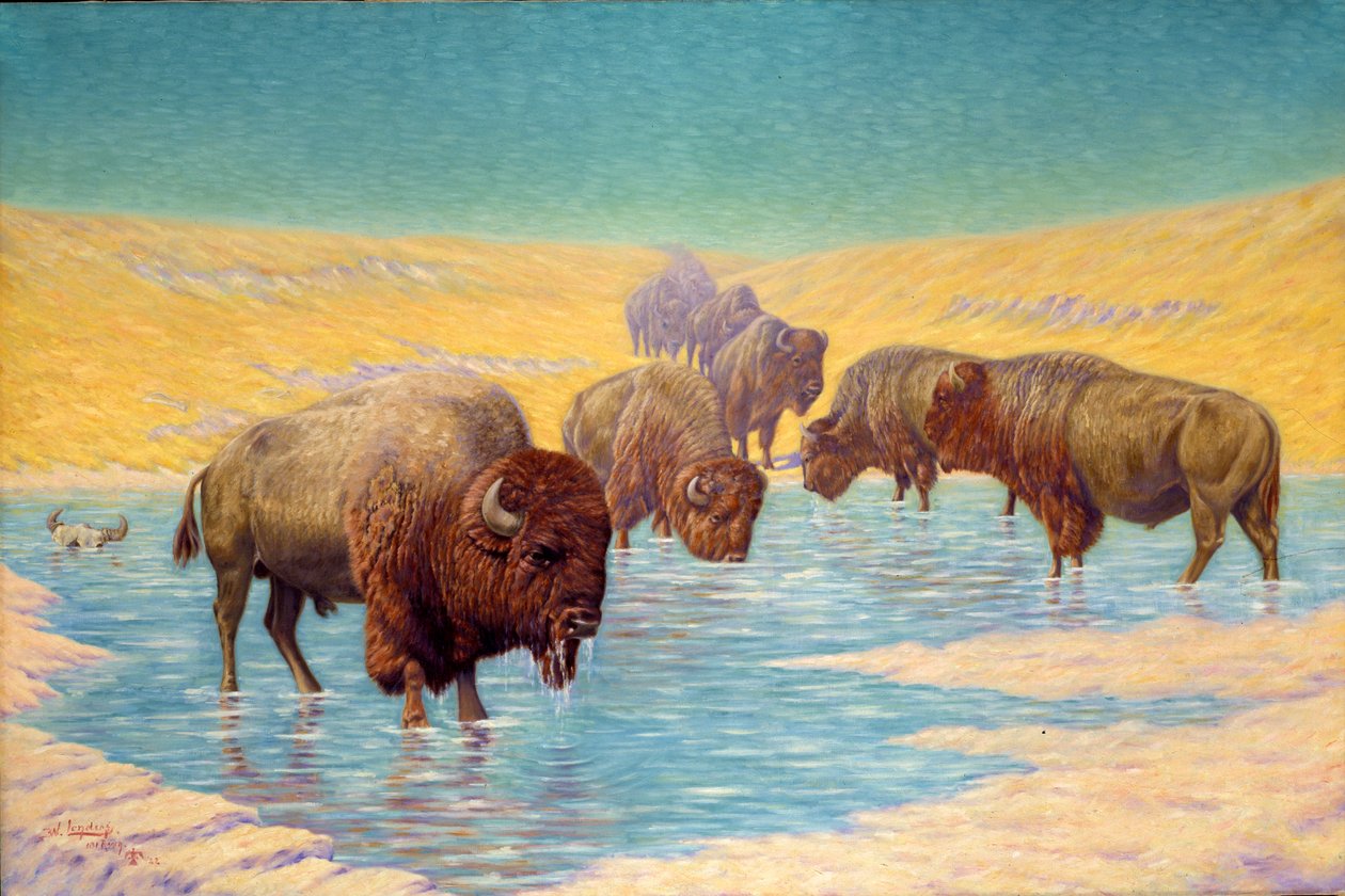 Scène de Buffle, 1922 - Emil W. Lenders