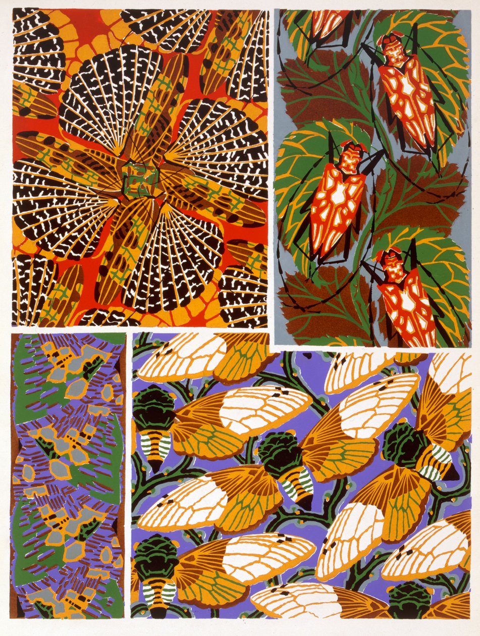 Motif de design avec insecte - Émile Allain Séguy